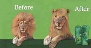 Estrategia de Sedal con copywriting humorístico.