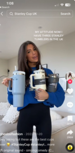 Stanley Cup se ha convertido en un fenómeno de consumo gracias a Tik Tok.