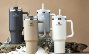 Stanley Cup el accesorio más viral del 2024.